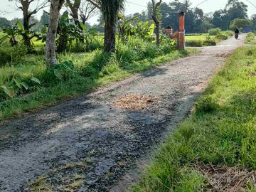 Dijual sawah view merapi dan hamparan persawahan di manisrenggo Klaten
