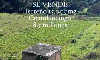 VOLKSWAGEN TERRENO