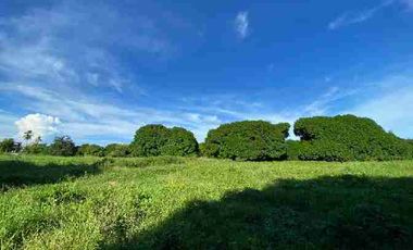 Lot for sale in Carmen, Cebu
