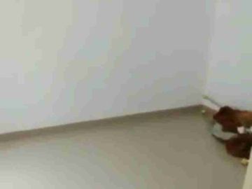 Dijual Rumah 96/145 di Komplek Citra Grand City Cluster Sommerset East Palembang