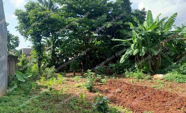 Tanah Darat Sangat Strategis di Duren Sawit Jakarta Timur