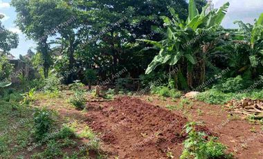 Tanah Darat Sangat Strategis di Duren Sawit Jakarta Timur