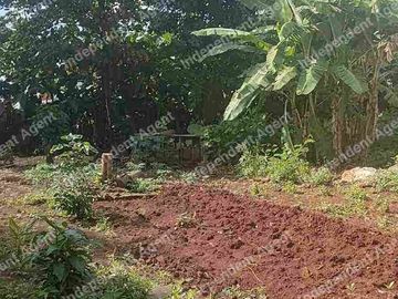 Tanah Darat Sangat Strategis di Duren Sawit Jakarta Timur