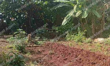 Tanah Darat Sangat Strategis di Duren Sawit Jakarta Timur