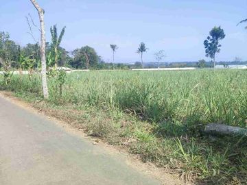 Dijual Tanah Zona kuning di Bondowoso