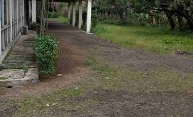Dijual Ex Pabrik di Jalan Lanbau Citeureup Bogor