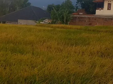 DI JUAL TANAH KAWASAN VILLA RESTO PACET