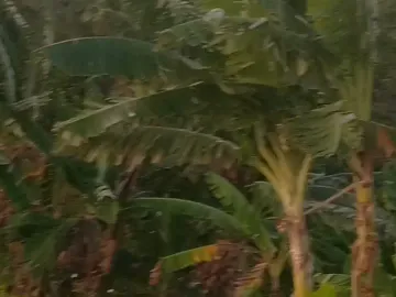 DI JUAL TANAH KAWASAN VILLA RESTO PACET