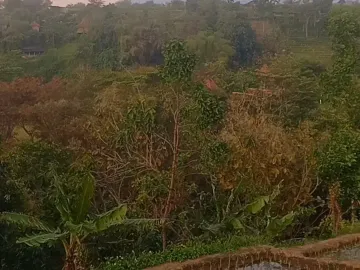 DI JUAL TANAH KAWASAN VILLA RESTO PACET