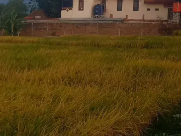 DI JUAL TANAH KAWASAN VILLA RESTO PACET