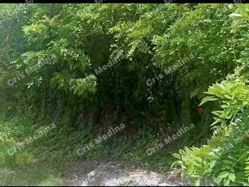 Farm lot for Sale in Baranggay 5, Amadeo Cavite