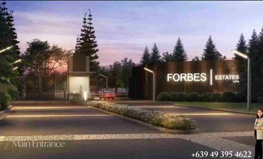 Exclusive Lot for Sale in FORBES ESTATE LIPA by Robinsons Land