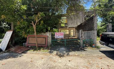 BF International Subdivision | Residential Lot For Sale - #8248