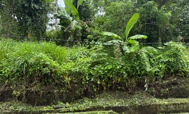 TWO 1,132 sqm Lots in Brgy. Maitim 1st, Amadeo Cavite for SALE! TITLED at 6k per sqm