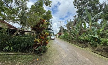 TWO 1,132 sqm Lots in Brgy. Maitim 1st, Amadeo Cavite for SALE! TITLED at 6k per sqm