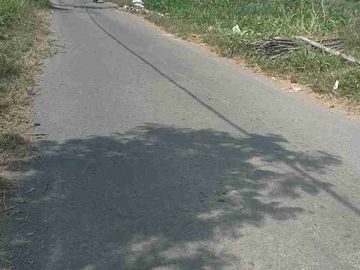 Dijual Tanah sawah 2500m ld 20m di manisrenggo sangat murah