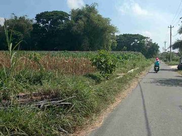 Dijual Tanah sawah 2500m ld 20m di manisrenggo sangat murah