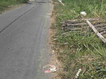 Dijual Tanah sawah 2500m ld 20m di manisrenggo sangat murah