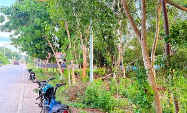 Commercial Lot for Sale or Rent - 2,608 sqm - Near Airport - Panglao