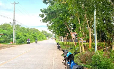 Commercial Lot for Sale or Rent - 2,608 sqm - Near Airport - Panglao