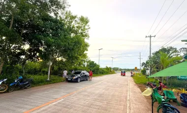 Commercial Lot for Sale or Rent - 2,608 sqm - Near Airport - Panglao