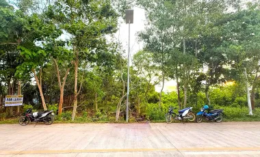 Commercial Lot for Sale or Rent - 2,608 sqm - Near Airport - Panglao