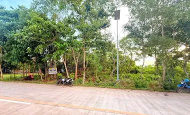 Commercial Lot for Sale or Rent - 2,608 sqm - Near Airport - Panglao