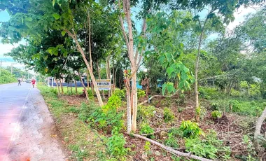 Commercial Lot for Sale or Rent - 2,608 sqm - Near Airport - Panglao