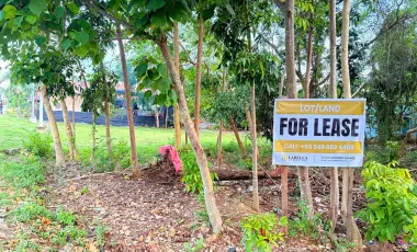 Commercial Lot for Sale or Rent - 2,608 sqm - Near Airport - Panglao