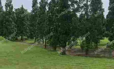 Tanah Kavling View GolfDiCluster Kartanegara Rancamaya GolfEstateBogor