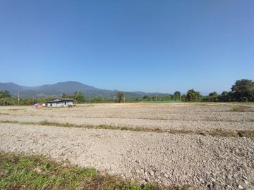 Land for Sale in Baan Huai Hom, Mae Soon, Fang District, Chiang Mai