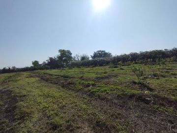 Land for Sale in Baan Huai Hom, Mae Soon, Fang District, Chiang Mai