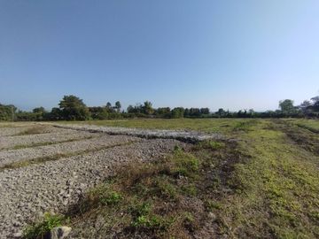 Land for Sale in Baan Huai Hom, Mae Soon, Fang District, Chiang Mai