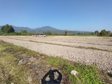 Land for Sale in Baan Huai Hom, Mae Soon, Fang District, Chiang Mai