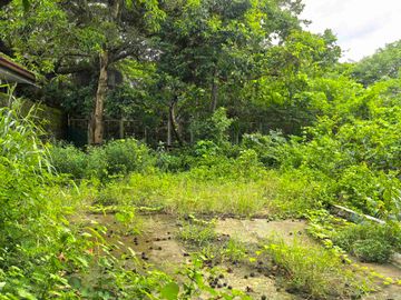 FOR LEASE: Residential Vacant Lot, Gated with  Concrete Perimeter Fence along  Aguinaldo Street in AFPOVAI Phase 2,  Western Bicutan, Taguig City