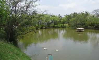Propiedad campestre 
