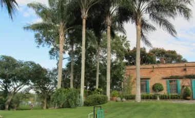 Propiedad campestre 