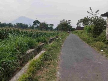 Dijual Tanah sawah 500m di manisrenggo Klaten