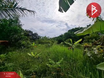 ขายที่ดินพร้อมสวนผสม เนื้อที่ 2 งาน 89 ตารางวา ต.คลองจุกกระเฌอ ฉะเชิงเทรา