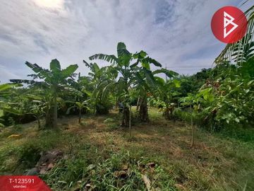 ขายที่ดินพร้อมสวนผสม เนื้อที่ 2 งาน 89 ตารางวา ต.คลองจุกกระเฌอ ฉะเชิงเทรา