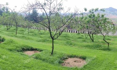LOTES CAMPESTRES EN VENTA