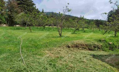 LOTES CAMPESTRES EN VENTA