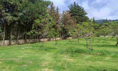 LOTES CAMPESTRES EN VENTA