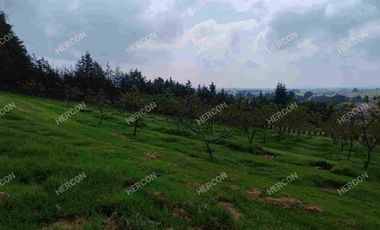 LOTES CAMPESTRES EN VENTA