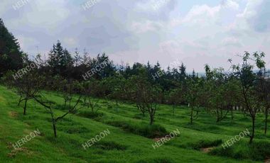 LOTES CAMPESTRES EN VENTA