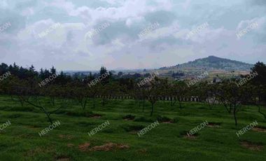 LOTES CAMPESTRES EN VENTA