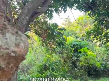 jual cepat murah tanah kavling sarimulya kotabaru karawang bekasi