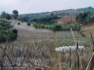 dijual lahan pinggir jalan 2036 meter cocok untuk berkebun