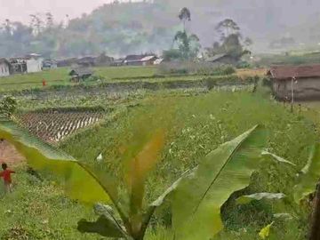 JUAL CEPAT TANAH MURAH CIWIDEY BANDUNG SELATAN