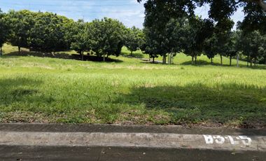 For Sale: 326sqm Residential Lot in Manila Southwoods Peak V, Carmona Cavite for only - P28k/sqm